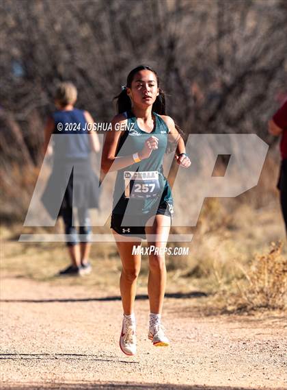 Thumbnail 1 in CHSAA 2A Cross Country Final photogallery.