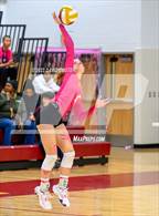 Photo from the gallery "Centreville @ Oakton"