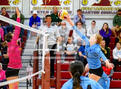 Thumbnail 1 in Centreville @ Oakton photogallery.