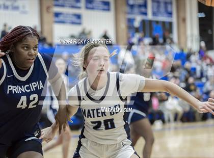 Thumbnail 1 in Principia vs Mater Dei (SWIC Showdown) photogallery.