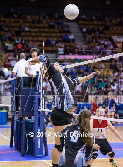 Thumbnail 3 in Otis vs. Sangre de Cristo (CHSAA 1A Playoff) photogallery.