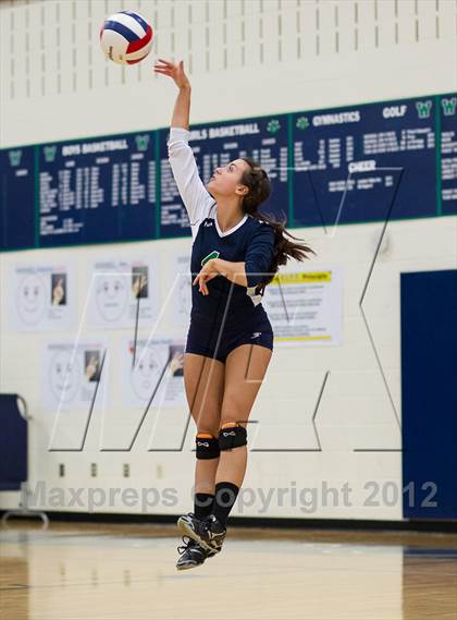 Thumbnail 3 in Briar Woods @ Woodgrove photogallery.