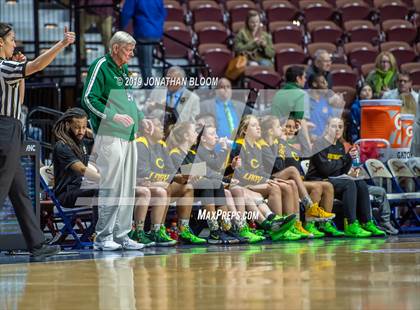 Thumbnail 3 in Trinity Catholic vs. Canton (CIAC Class S Final) photogallery.