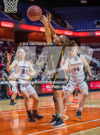 Thumbnail 1 in Trinity Catholic vs. Canton (CIAC Class S Final) photogallery.