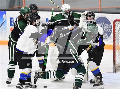 Thumbnail 1 in New Milford @ JBWA photogallery.