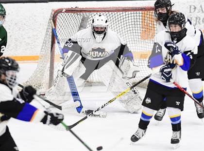 Thumbnail 3 in New Milford @ JBWA photogallery.