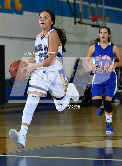 Thumbnail 2 in Los Altos @ Charter Oak photogallery.