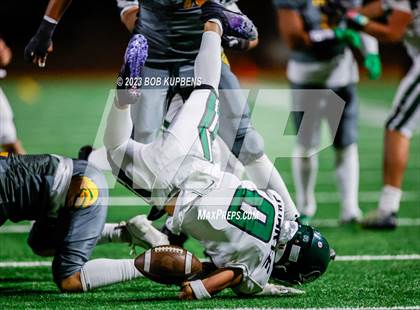 Thumbnail 1 in Alisal @ Capuchino photogallery.