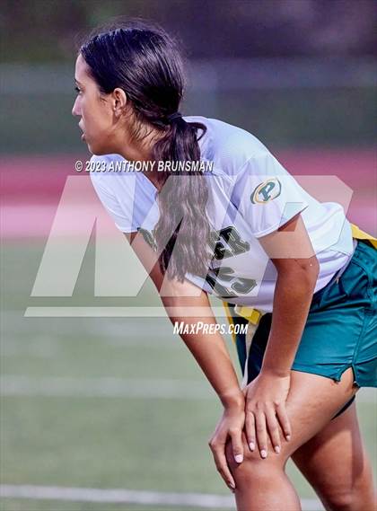 Thumbnail 3 in Placer @ Cordova photogallery.