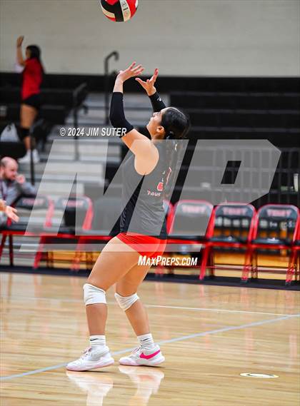Thumbnail 3 in Terry vs Fort Bend Marshall photogallery.