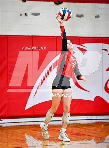 Thumbnail 1 in Burton vs Schulenburg photogallery.
