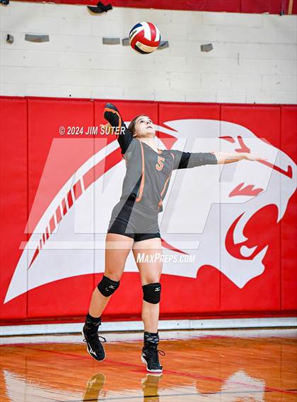 Thumbnail 1 in Burton vs Schulenburg photogallery.