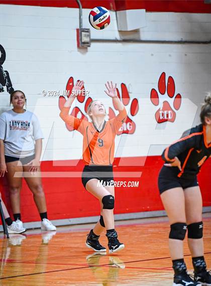 Thumbnail 1 in Burton vs Schulenburg photogallery.