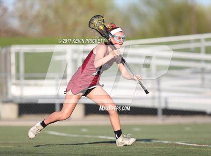 Thumbnail 1 in Chatfield @ Columbine photogallery.