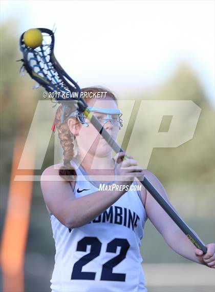 Thumbnail 2 in Chatfield @ Columbine photogallery.