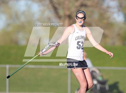 Thumbnail 1 in Chatfield @ Columbine photogallery.