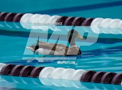 Thumbnail 3 in CIF-SS Division 4 Preliminaries photogallery.