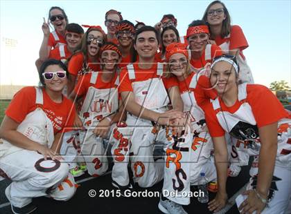 Thumbnail 1 in Midlothian @ Haltom  photogallery.