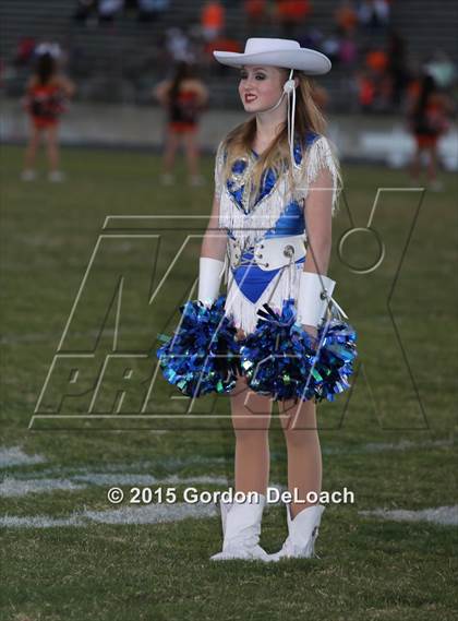 Thumbnail 1 in Midlothian @ Haltom  photogallery.