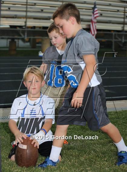 Thumbnail 3 in Midlothian @ Haltom  photogallery.