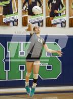 Photo from the gallery "Davis vs. Roy"