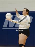 Photo from the gallery "Davis vs. Roy"