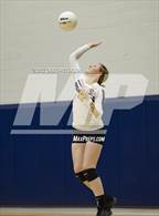 Photo from the gallery "Davis vs. Roy"