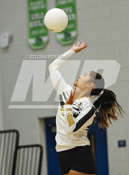 Thumbnail 2 in Davis vs. Roy photogallery.