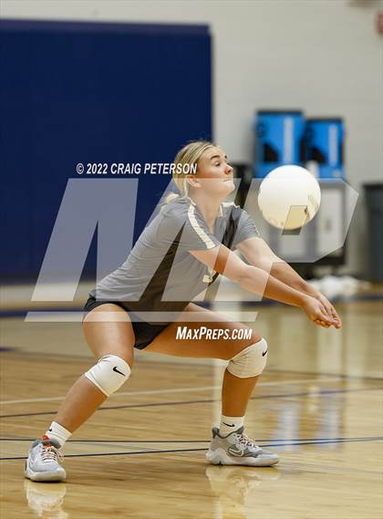 Thumbnail 3 in Davis vs. Roy photogallery.