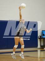 Photo from the gallery "Davis vs. Roy"