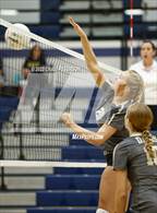 Photo from the gallery "Davis vs. Roy"