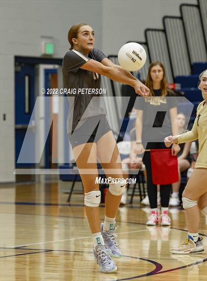 Thumbnail 3 in Davis vs. Roy photogallery.