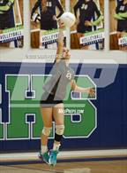 Photo from the gallery "Davis vs. Roy"