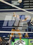 Photo from the gallery "Davis vs. Roy"