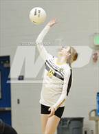 Photo from the gallery "Davis vs. Roy"