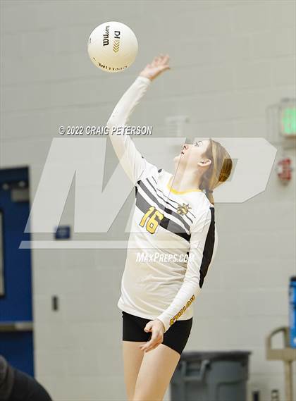 Thumbnail 3 in Davis vs. Roy photogallery.