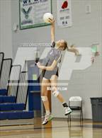 Photo from the gallery "Davis vs. Roy"