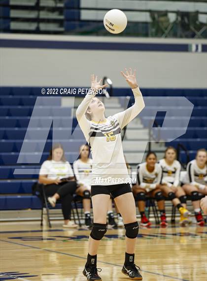 Thumbnail 1 in Davis vs. Roy photogallery.