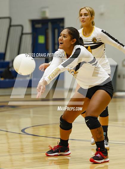 Thumbnail 3 in Davis vs. Roy photogallery.
