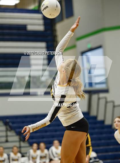 Thumbnail 1 in Davis vs. Roy photogallery.