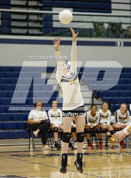Thumbnail 3 in Davis vs. Roy photogallery.
