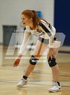 Photo from the gallery "Davis vs. Roy"