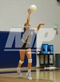 Photo from the gallery "Davis vs. Roy"