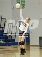 Photo from the gallery "Davis vs. Roy"