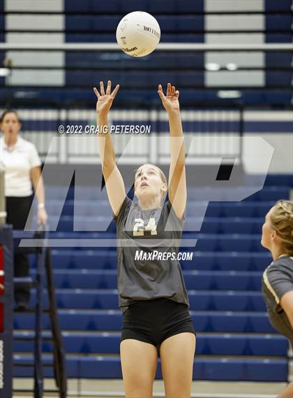 Thumbnail 3 in Davis vs. Roy photogallery.
