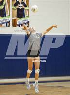 Photo from the gallery "Davis vs. Roy"