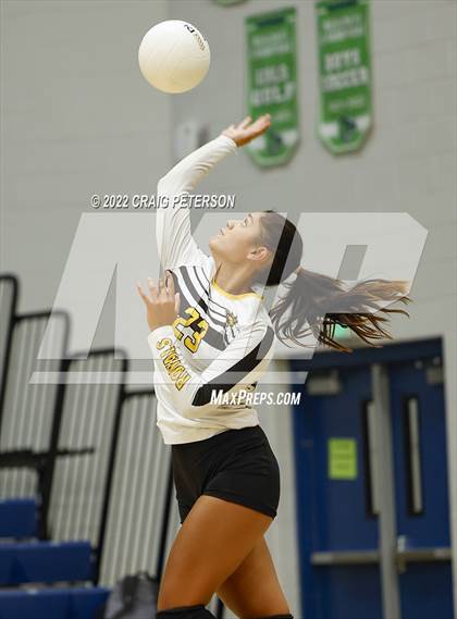 Thumbnail 3 in Davis vs. Roy photogallery.