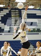 Photo from the gallery "Davis vs. Roy"
