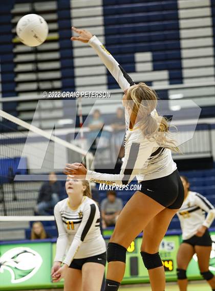 Thumbnail 1 in Davis vs. Roy photogallery.