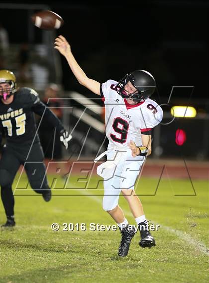 Thumbnail 3 in Paradise Valley @ Verrado photogallery.